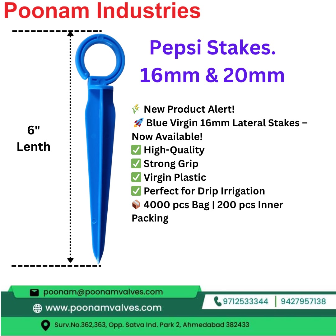Poonam Valaves